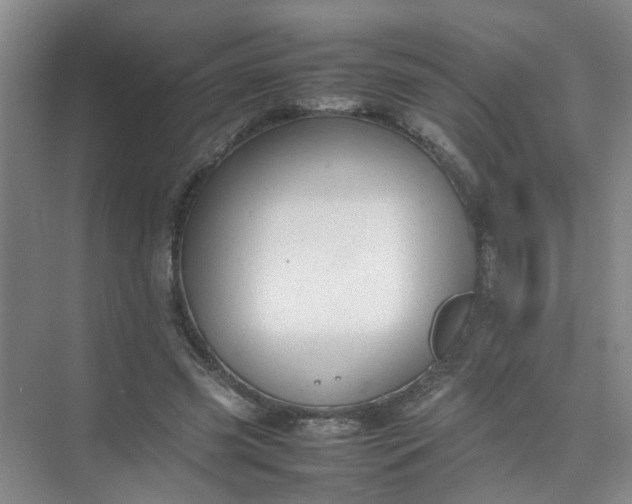 X0000074930541200609151941