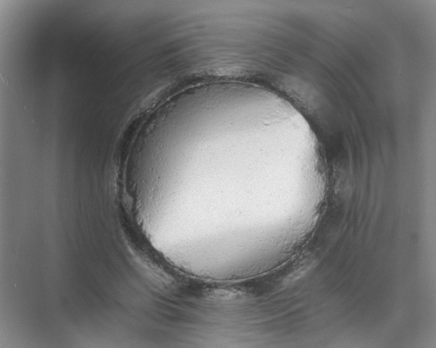 X0000074930542200609151941