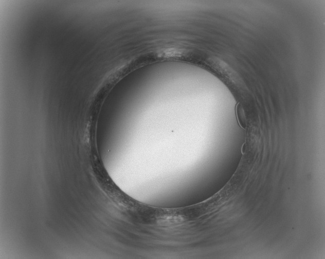 X0000074930543200609151941