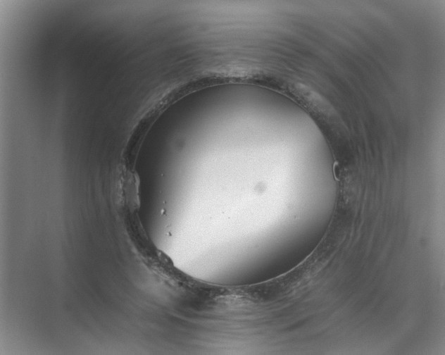 X0000074930544200609151941