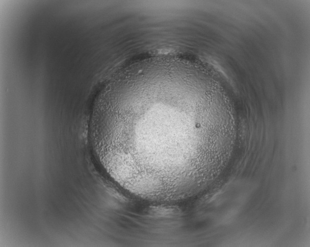 X0000074930545200609151941