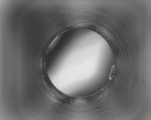 X0000074930546200609151941