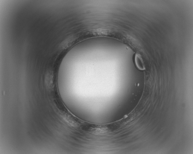 X0000074930548200609151941