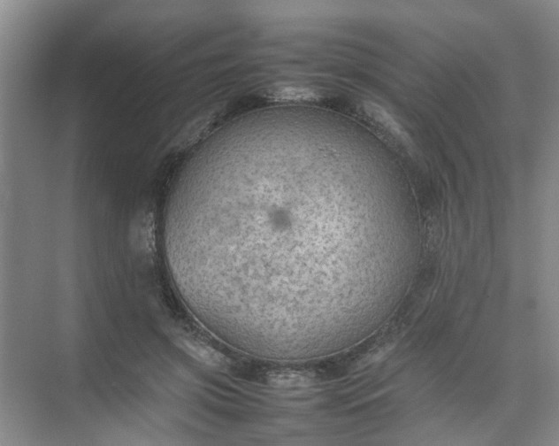 X0000074930549200609151941