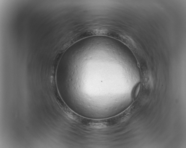 X0000074930553200609151941