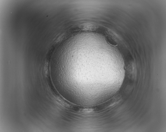 X0000074930554200609151941