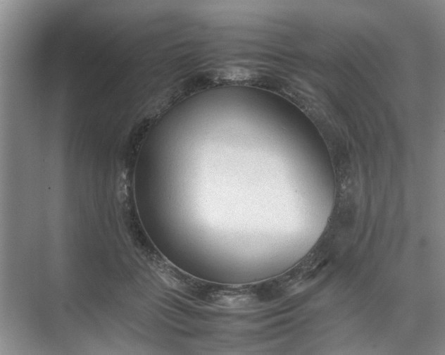 X0000074930555200609151941