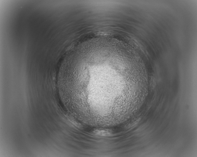 X0000074930557200609151941