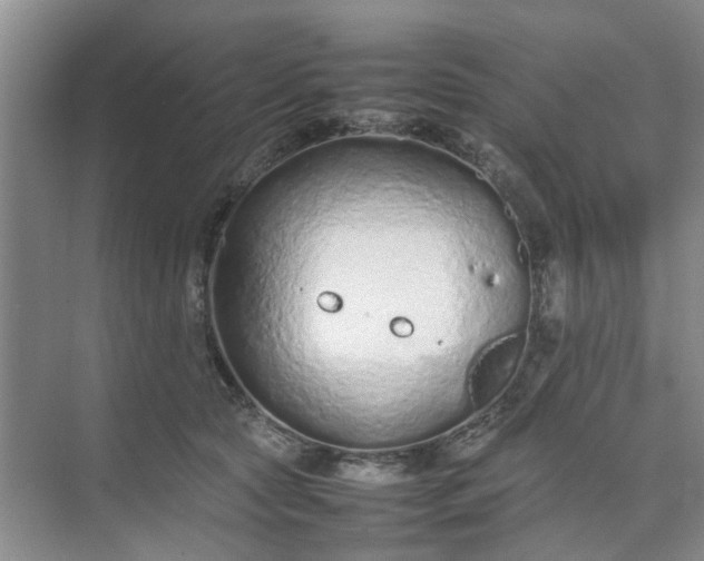 X0000074930561200609151942