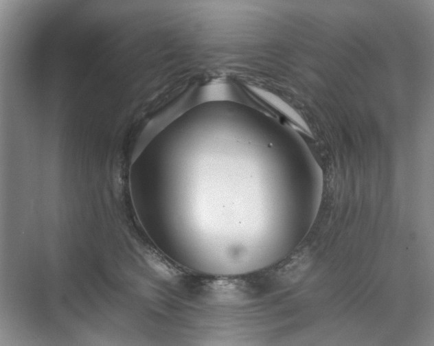 X0000074930566200609151942