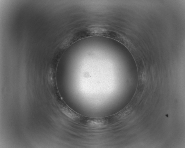 X0000074930567200609151942