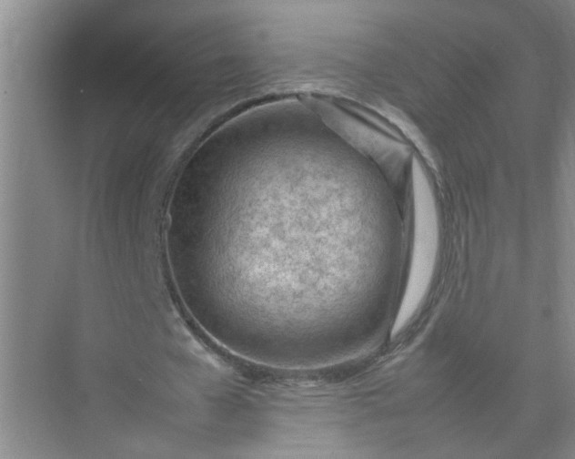 X0000074930577200609151941