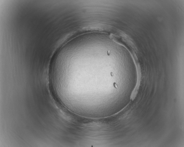 X0000074930578200609151941