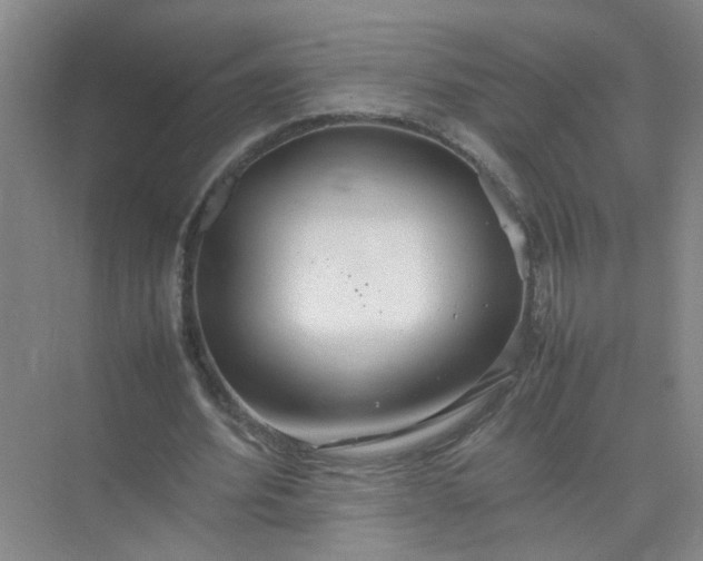 X0000074930580200609151941