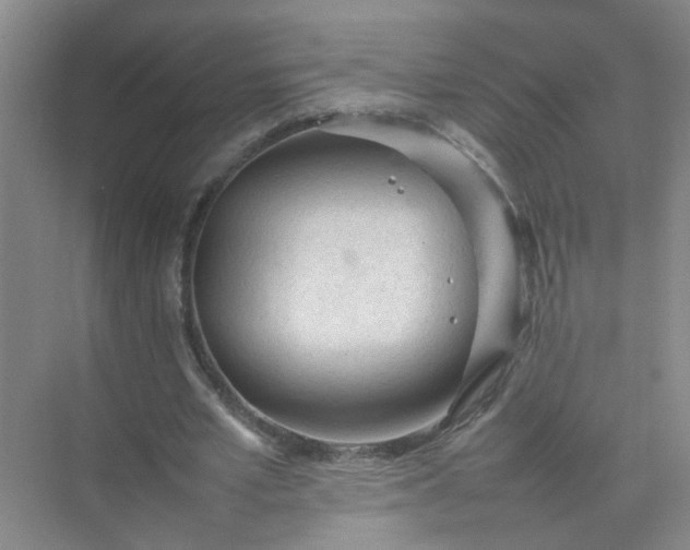 X0000074930581200609151941