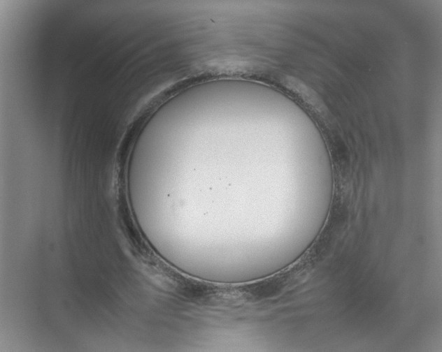 X0000074930583200609151941