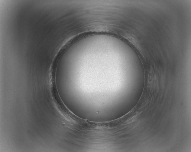 X0000074930584200609151941