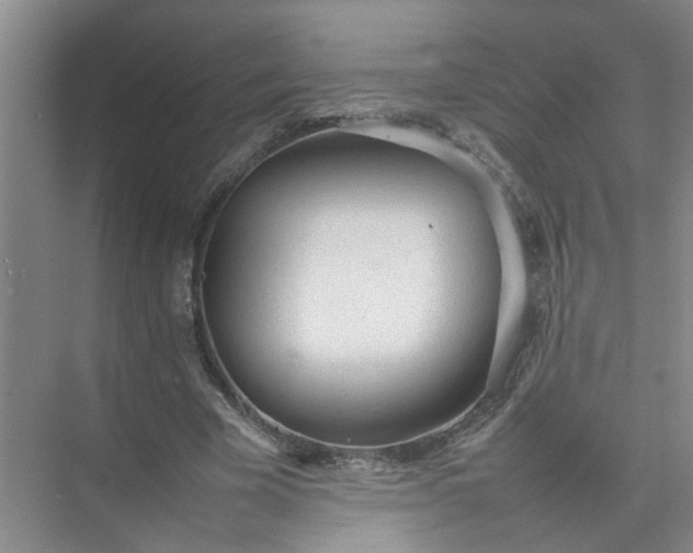 X0000074930585200609151941