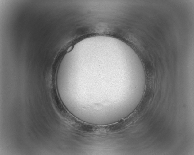 X0000074930587200609151941