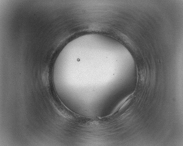 X0000074930588200609151941