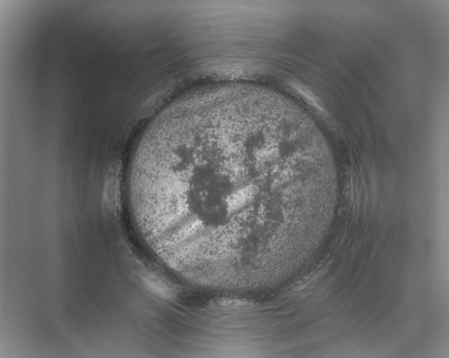 X0000074930590200609151941