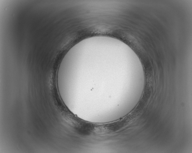 X0000074930591200609151941