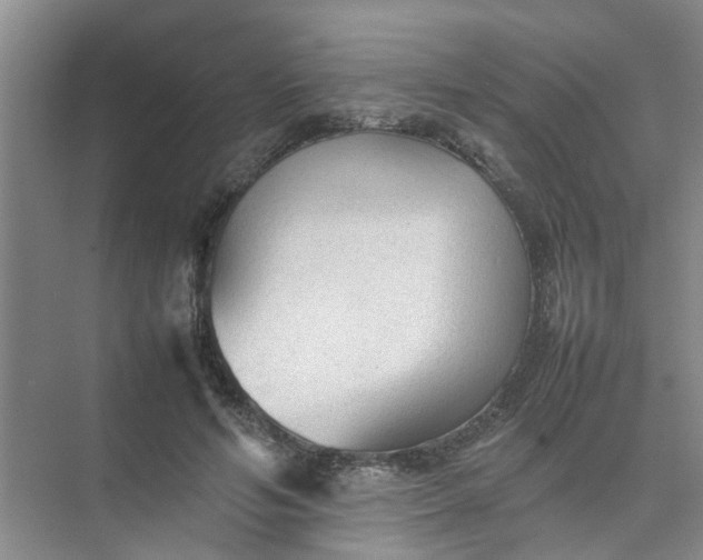 X0000074930594200609151941