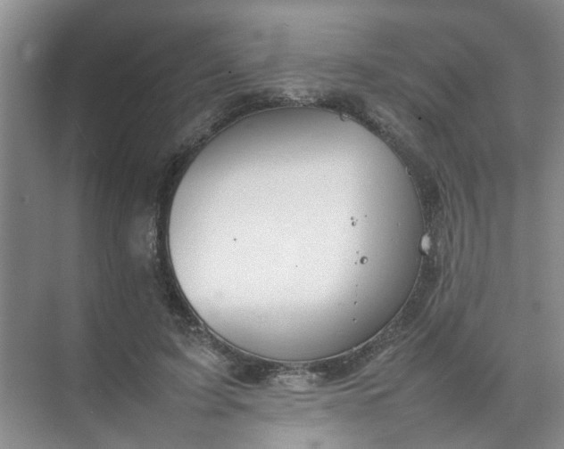 X0000074930595200609151941