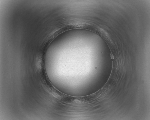 X0000074930596200609151941