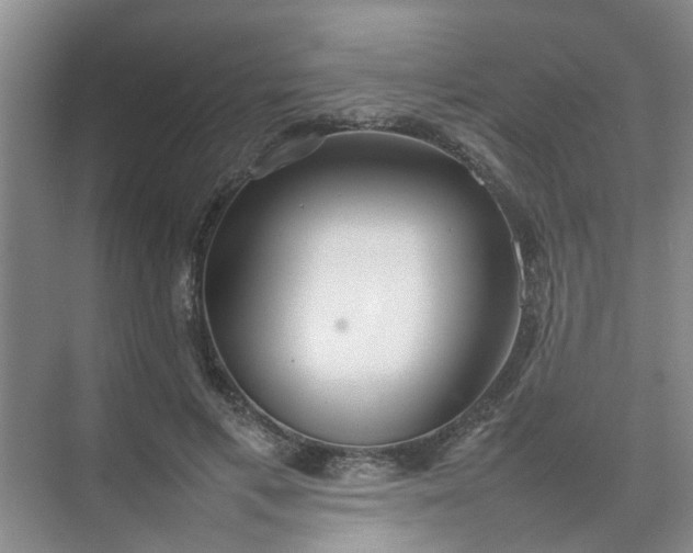 X0000074930597200609151941