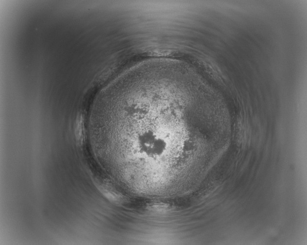 X0000074930598200609151941