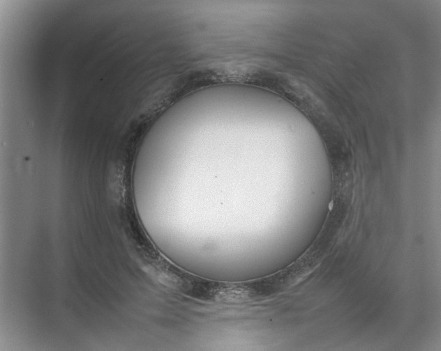 X0000074930599200609151941