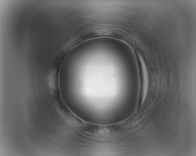 X0000074930600200609151941