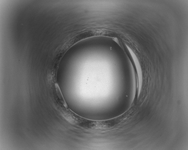 X0000074930601200609151941