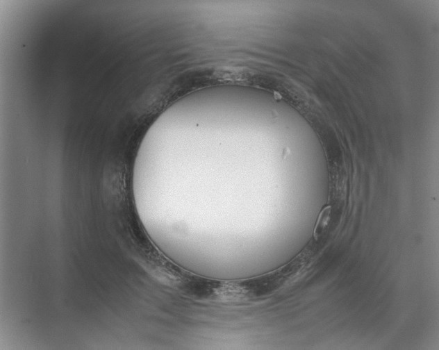 X0000074930603200609151941