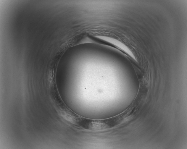 X0000074930605200609151941