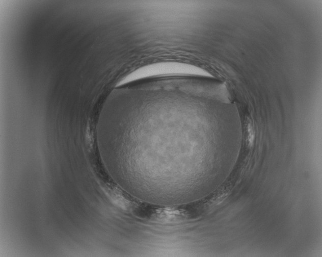 X0000074930607200609151940