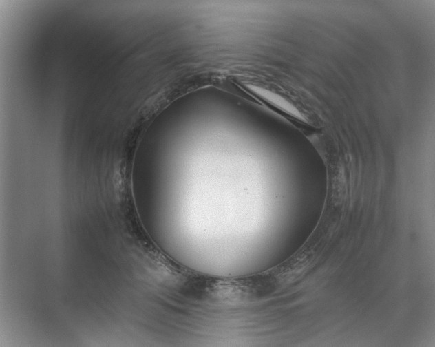 X0000074930608200609151940