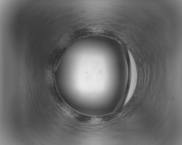 X0000074930609200609151940