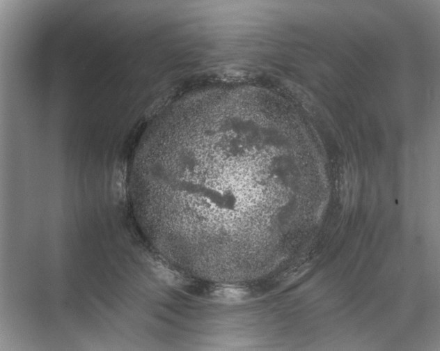 X0000074930610200609151940