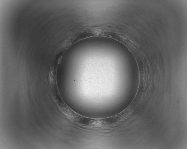 X0000074930611200609151940