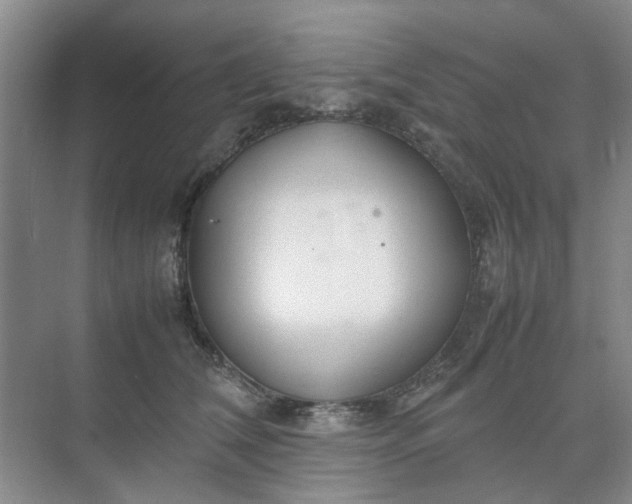 X0000074930612200609151940