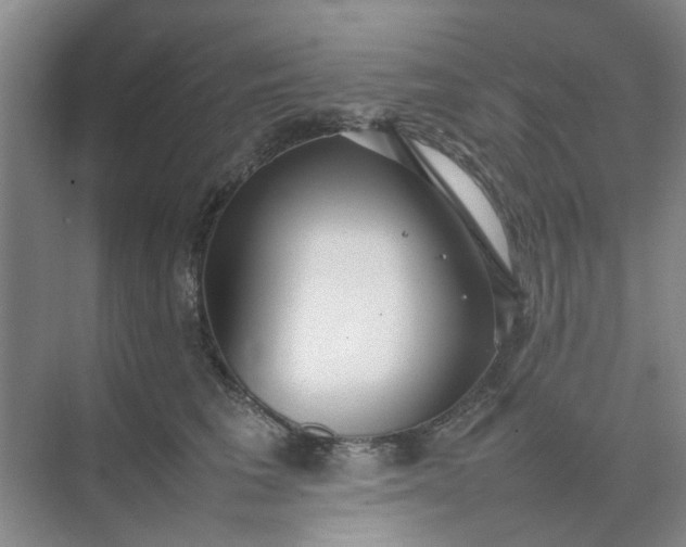 X0000074930613200609151940