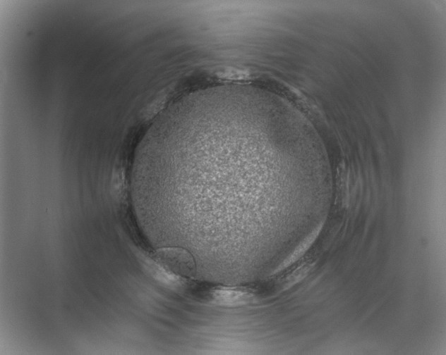 X0000074930614200609151940