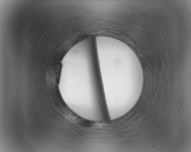 X0000074930617200609151940