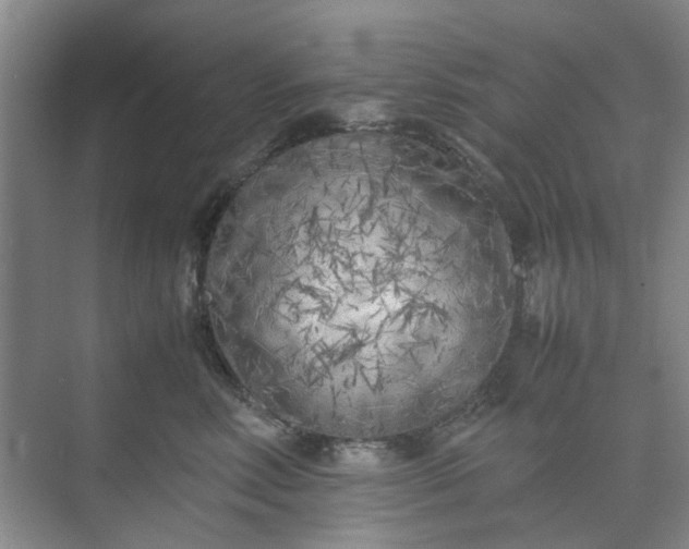 X0000074930618200609151940