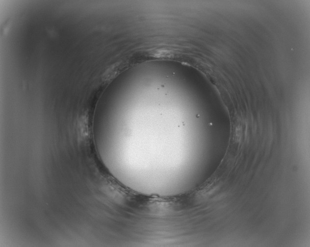 X0000074930620200609151940