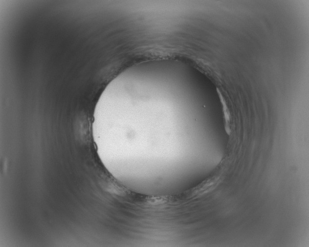 X0000074930624200609151940