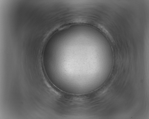 X0000074930625200609151939