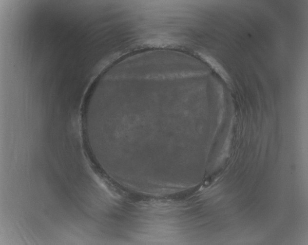 X0000074930626200609151939